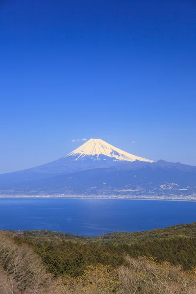 Mt. Baía de Fuji e Suruga — Fotografia de Stock