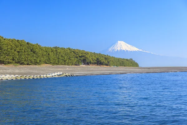 Mihonomatsubara 的富士山视图 图库图片