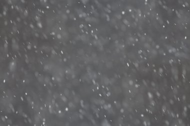 Siyah-beyaz arka plan bokeh kış kar yağışı