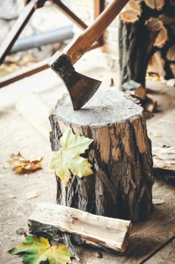 Yakın yarım günlük yalan stump, yapışmasını balta