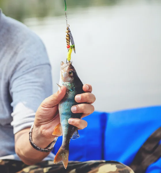 Boa jogada. Pescador pego poleiro em fiação — Fotografia de Stock