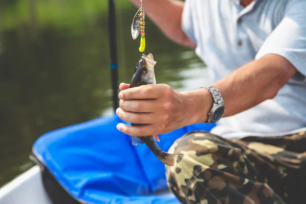 Ottima presa. Pescatore catturato persico su filatura — Foto Stock