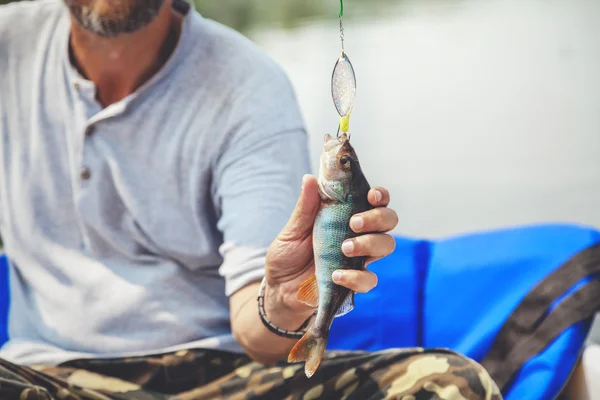Хороший улов. Рыбак поймал окуня на вращении — стоковое фото