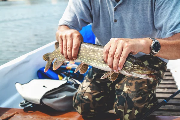 Fisherman in boat holding pike — Stock Photo, Image