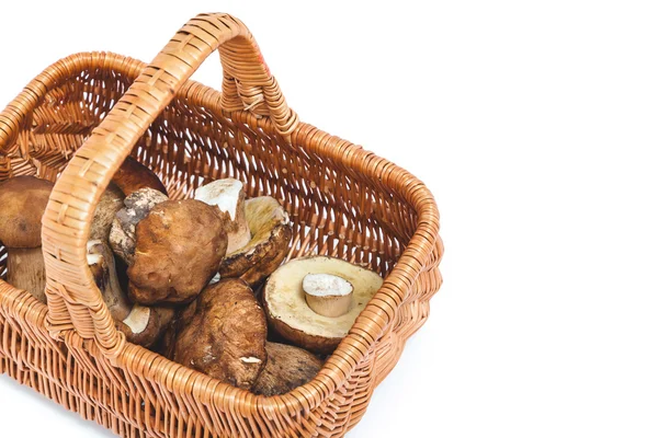 Champiñones del bosque en una cesta de mimbre — Foto de Stock