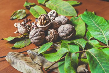 Birkaç ceviz kahverengi zemin üzerinde yalan