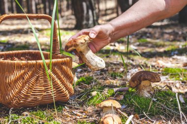 Büyük çörek orman açıklıklar içinde tutan el