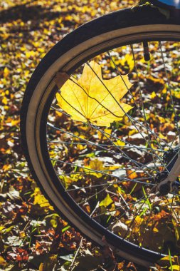 Sonbahar park yakın çekim içinde Bisiklete binme