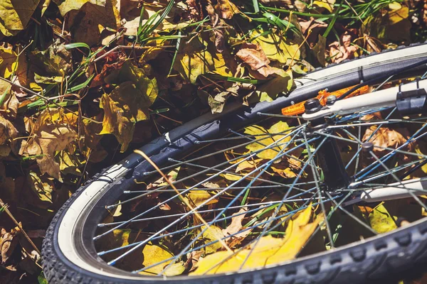 Roda de bicicleta fica em folhas caídas de árvores — Fotografia de Stock