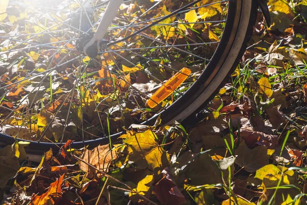Pomarańczowe odblaskowe na szprychy rowerowe jesienny dzień — Zdjęcie stockowe