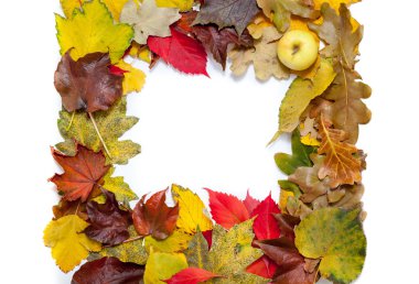 Güzel sonbahar düşen yapraklar çerçevesinde. Elma köşesinde