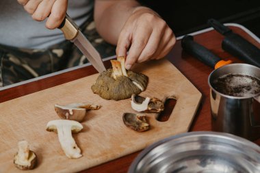 Toplanan mantarların incelenmesi. Tahta bir yaban domuzunun üstünde yenebilir mantar kesen bir adamın elleri.