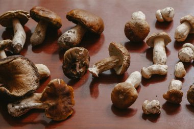 Masadaki mantarlar. Kahverengi bir masanın üzerinde farklı boyutlarda bilardo sopaları var. Yukarıdan Görünüm