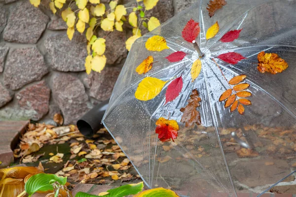 用透明塑料制成的湿的 敞开的 透明的雨伞 立在石墙前 落叶的不同的树粘在我身上 — 图库照片