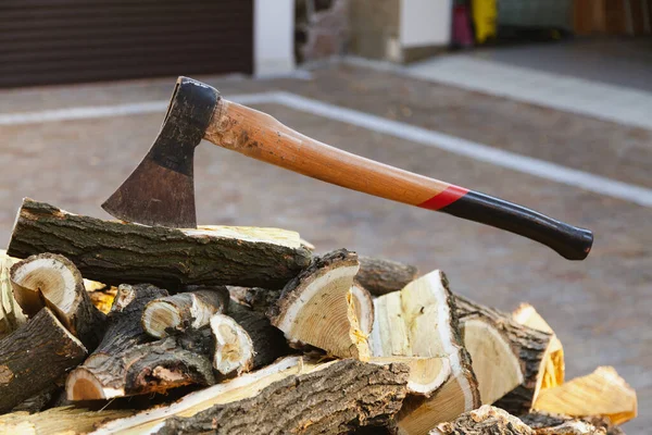 Long Handle Sticks Out Mulberry Wood Log Log Lies Pile — Stock Photo, Image
