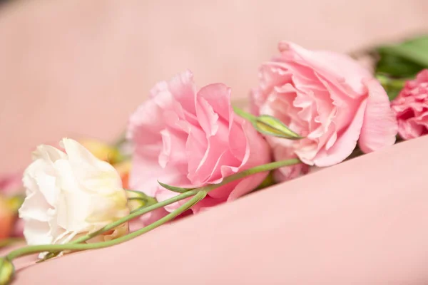 Several Eustoma Flowers Delicate Pink Cream Shades Form Bouquet Lie — Stock Photo, Image