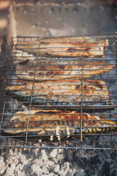 Peixe Grelhado Quatro Cavalas Com Uma Grelha Aço Preparada Sobre — Fotografia de Stock