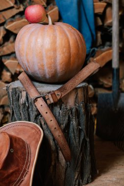 Bir balkabağıyla hayat. Yuvarlak balkabağı ve elma kütüğün üzerinde yatıyor. Yakınlarda bir kemer var. Alt kovboy derisi.