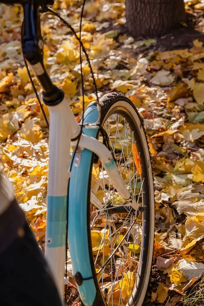 Ruota Bicicletta Erge Sulle Foglie Cadute Degli Alberi Autunnali Lato — Foto Stock