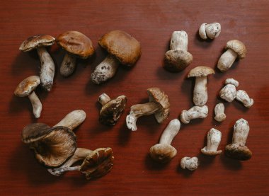 Masadaki mantarlar. Kahverengi bir masanın üzerinde farklı boyutlarda bilardo sopaları var. Yukarıdan Görünüm