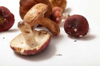 Beyaz bir sırtüstü uzanmış kırmızı şapkalı güzel mantarlar.