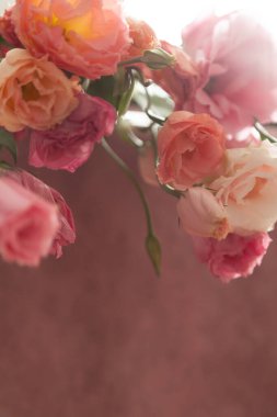 Bir buket Eustoma çiçeği arka planda pembe bir arkaplan ve nazik bir haz