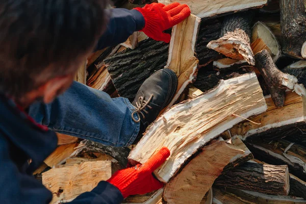 Les Mains Gants Travail Rouges Tiennent Une Bûche Mûrier Avec — Photo