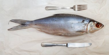 Omul 'la hayat devam ediyor. Parşömen kağıdının üzerinde güzel bir balık yatar. Tepesinde bir çatal var. Alt düğüm