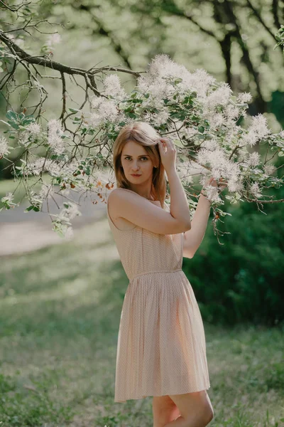 若い女性で柔らかいピンクのドレスで木の色ベネチアン夏の夏の庭バックライトの太陽の下で — ストック写真