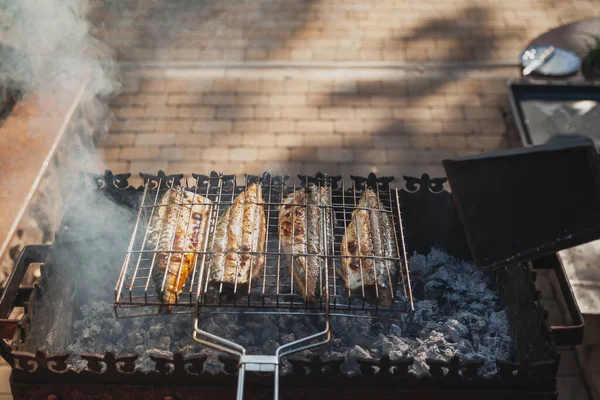 四个鲭鱼 有一个钢制烤架 在烤架上用白煤烤 — 图库照片