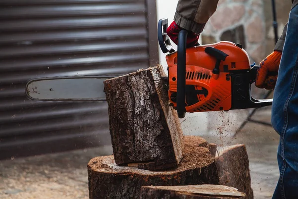 Chainsaw Working Man Sawing Piece Tree Trunk Chainsaw Piece Stands — Stock Photo, Image