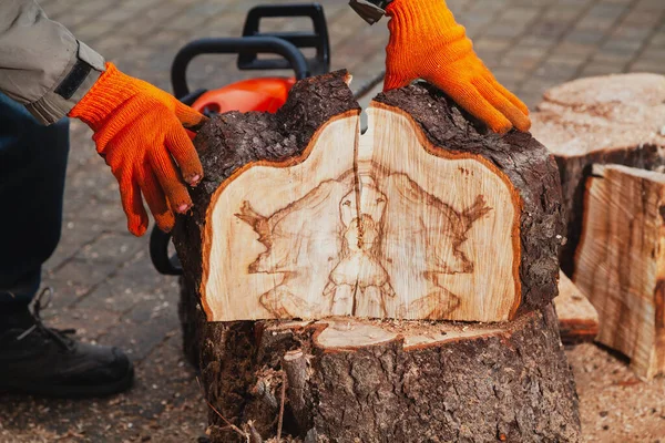 Руки Рабочих Перчатках Отделяют Две Половинки Пиленой Части Ствола Дерева — стоковое фото