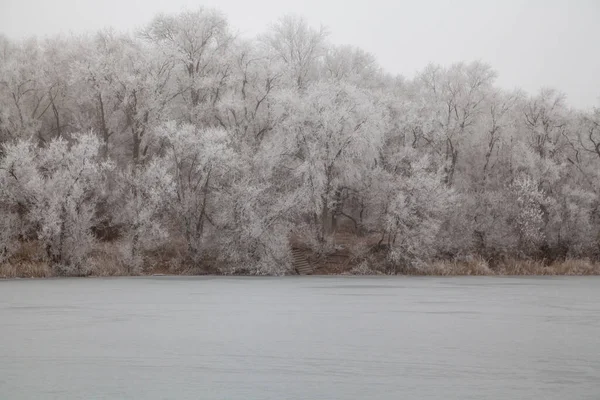 Winter Landscape Trees Banks River Were Covered Layer Frost Foreground — Stock Photo, Image