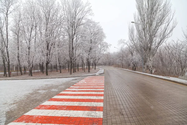 보행자는 겨울에 빨간색과 줄무늬가 보도를 로이아 나무들이 자라고 — 스톡 사진