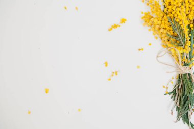 Bahar hala hayattır. Sarı mimoza dalı beyaz bir sırtüstü uzanır.