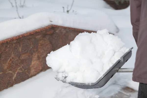 Sneeuwruimen Man Vasthouden Aan Gewicht Grijs Plastic Schop Gevuld Met — Stockfoto