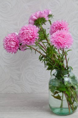 Güzel bir buket pembe kasımpatı, cam bir vazoda, arka plandaki gri duvar kağıdında, soyut bir patırtıyla.