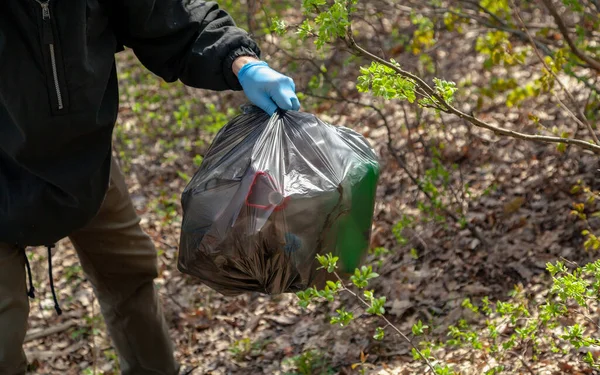 Cleaning nature from garbage. Ecologist\'s hand in blue rubber gloves holds a black plastic bag with garbage in a clean fores