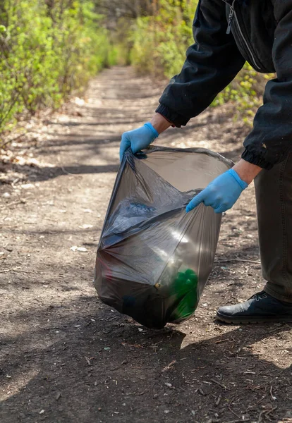 We save nature from garbage. Ecologist in blue rubber gloves collects trash in a black plastic bag in the fores