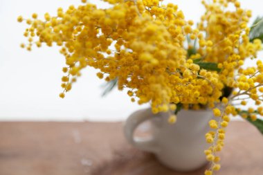 Mimosa buketi. Beyaz arka plan manzaralı beyaz bardakta sarı mimoza dalı. Alt ahşap domuz.