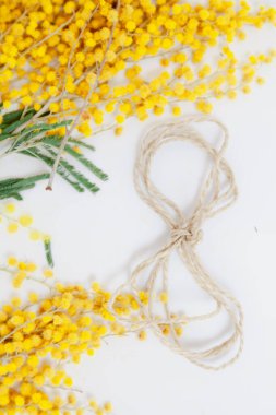 8 Mart bir bahar tatilidir. İpten yapılmış 8 numara beyaz arka planda yatıyor. Yakınlarda sarı bir mimoz dalı uzanıyor.