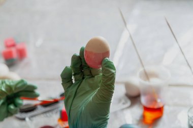 Plastik eldivenin içinde boyanmış bir Paskalya yumurtası var. Ev yapımı Paskalya yumurtası boyası evde yapılır.