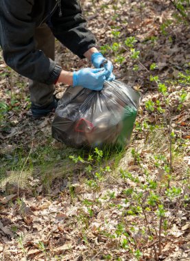 Çöpten doğayı temizlemek. Mavi lastik eldivenli bir çevreci ön taraflarında çöp olan siyah bir plastik torba bağlar.