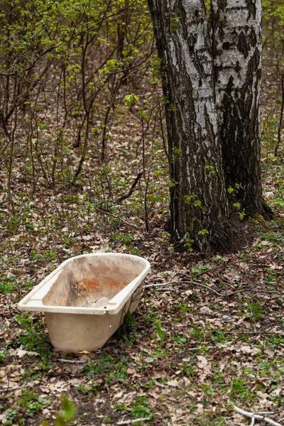 在一个弹簧泡沫中 旧塑料桶矗立在桦树树干前 — 图库照片