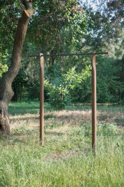 Ormanda jimnastik aletleri. Yeşil bir meşe ağacının önüne iki metal direğe amatör bir levye monte edilir. Uzun yeşil çimenler büyüyor.