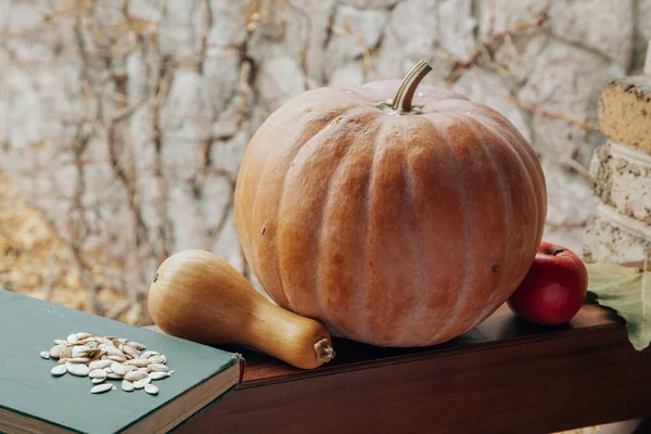 Beautiful Romantic Autumn Still Life Two Pumpkins Different Shapes Old — Stock Photo, Image