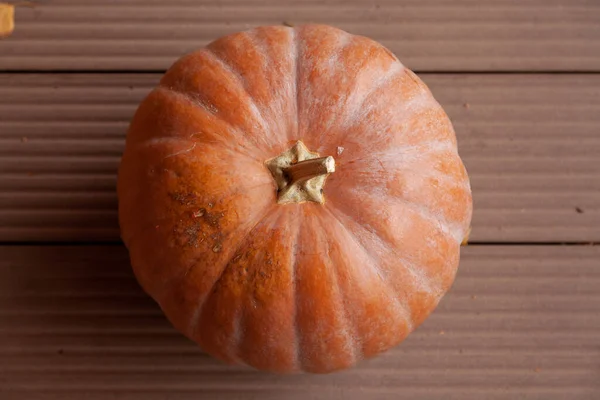 Autumn Still Life Large Pumpkin Fallen Tree Leaves Lie Board — Stock Photo, Image