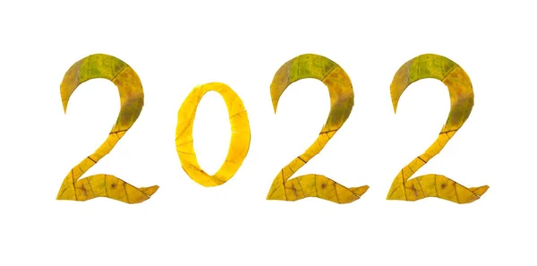 Numeri Autunno 2022 Rivestito Con Belle Foglie Acero Giallo Con — Foto Stock