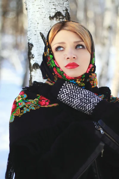 Russische winter — Stockfoto