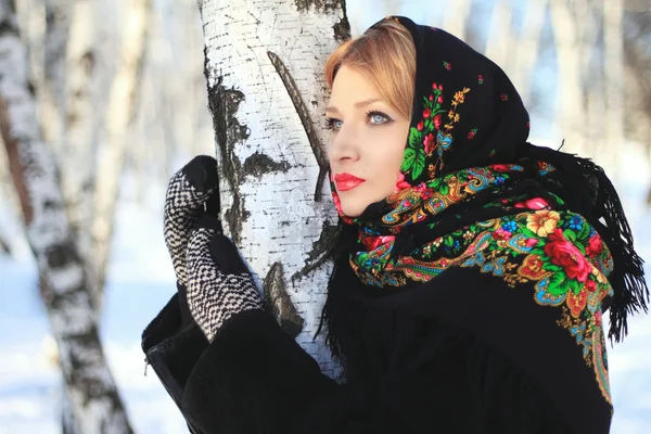 Inverno russo — Fotografia de Stock